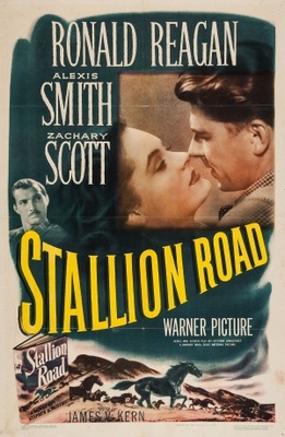 unknown Stallion Road movie poster