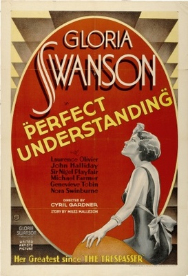 unknown Perfect Understanding movie poster