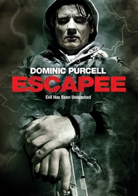 unknown Escapee movie poster