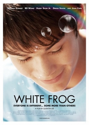 unknown White Frog movie poster
