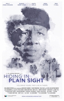 unknown Hiding in Plain Sight movie poster