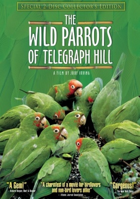 unknown The Wild Parrots of Telegraph Hill movie poster
