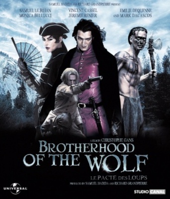 unknown Le pacte des loups movie poster