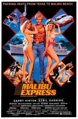 unknown Malibu Express movie poster