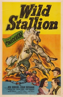 unknown Wild Stallion movie poster