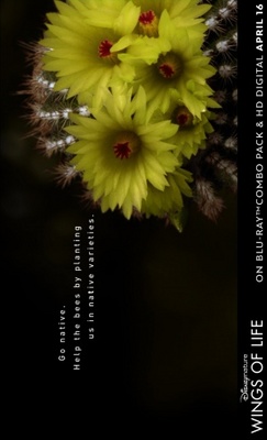 unknown Pollen movie poster
