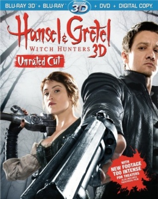 unknown Hansel & Gretel: Witch Hunters movie poster