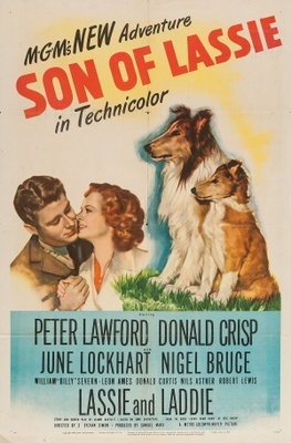 unknown Son of Lassie movie poster