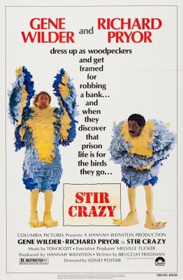 unknown Stir Crazy movie poster