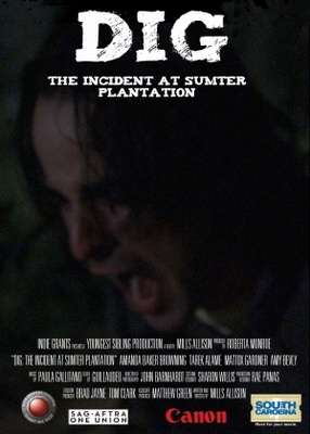 unknown Dig: The Incident at Sumter Plantation movie poster