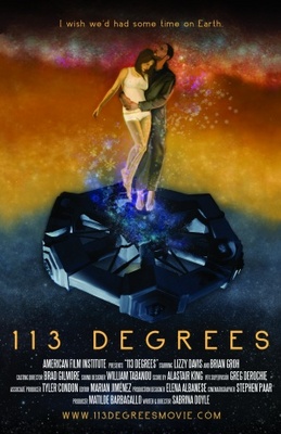 unknown 113 Degrees movie poster