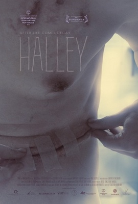unknown Halley movie poster