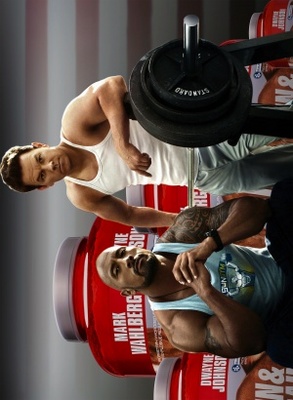 unknown Pain and Gain movie poster
