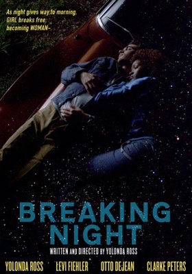 unknown Breaking Night movie poster