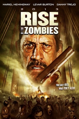 unknown Rise of the Zombies movie poster