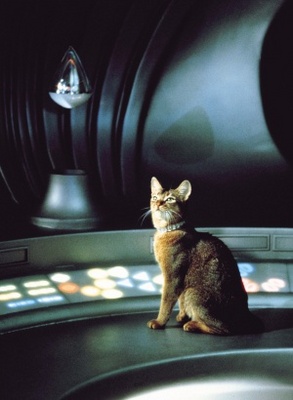 unknown The Cat from Outer Space movie poster