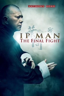 unknown Ip Man: The Final Fight movie poster