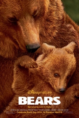 unknown Bears movie poster