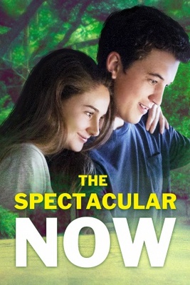 unknown The Spectacular Now movie poster