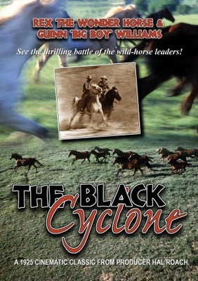 unknown Black Cyclone movie poster