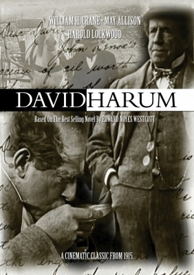 unknown David Harum movie poster