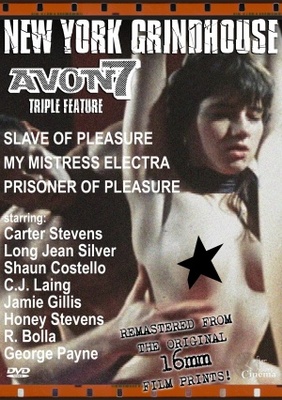unknown Slave of Pleasure movie poster