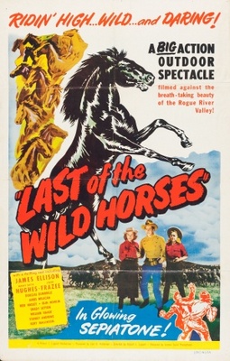 unknown Last of the Wild Horses movie poster