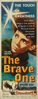 unknown The Brave One movie poster