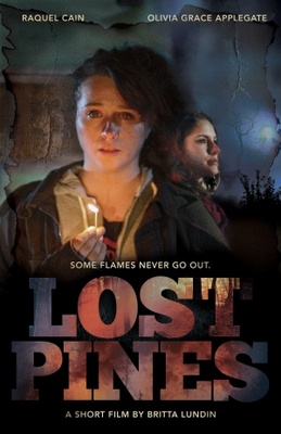 unknown Lost Pines movie poster