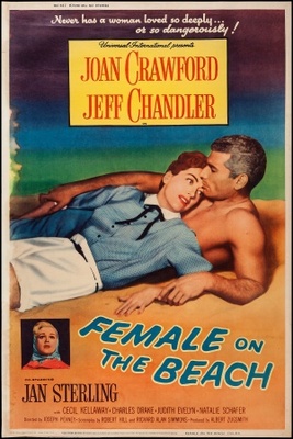 unknown Female on the Beach movie poster