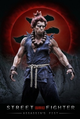 unknown Street Fighter: Assassin's Fist movie poster