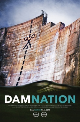unknown DamNation movie poster