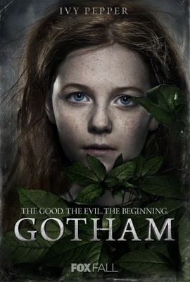 unknown Gotham movie poster