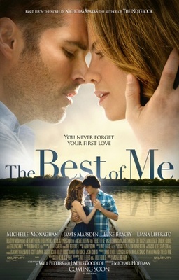 unknown The Best of Me movie poster
