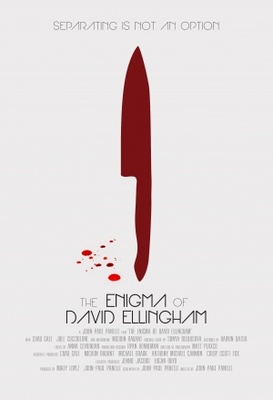 unknown The Enigma of David Ellingham movie poster