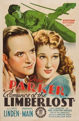 unknown Romance of the Limberlost movie poster