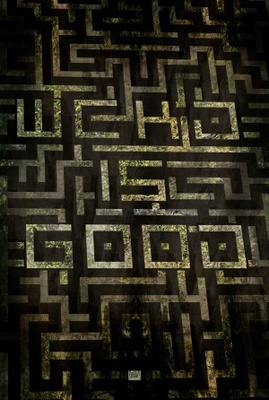 unknown The Maze Runner movie poster