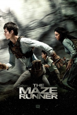 unknown The Maze Runner movie poster