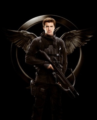 unknown The Hunger Games: Mockingjay - Part 1 movie poster
