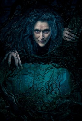 unknown Into the Woods movie poster