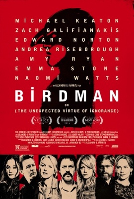 unknown Birdman movie poster