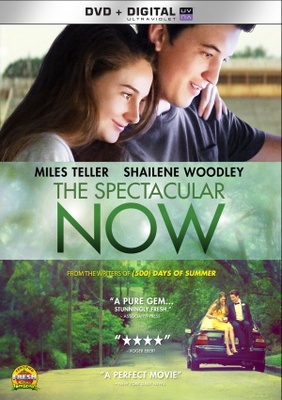 unknown The Spectacular Now movie poster