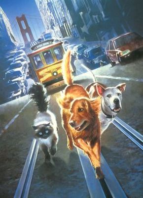 unknown Homeward Bound II: Lost in San Francisco movie poster
