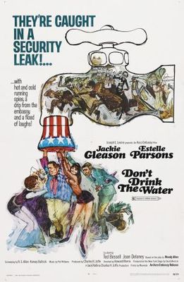 unknown Don't Drink the Water movie poster