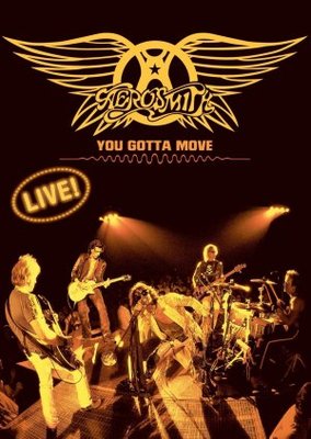 unknown Aerosmith: You Gotta Move movie poster
