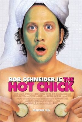 unknown The Hot Chick movie poster
