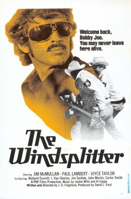 unknown The Windsplitter movie poster