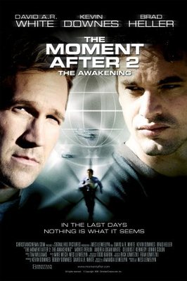 unknown The Moment After 2: The Awakening movie poster