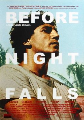 unknown Before Night Falls movie poster