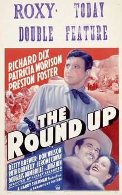 unknown The Roundup movie poster
